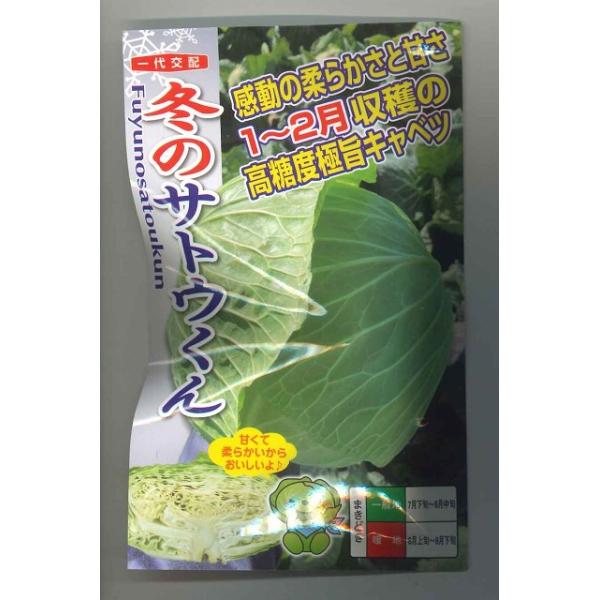 キャベツ 極甘キャベツ 冬のサトウくん 40粒 ナント種苗（株