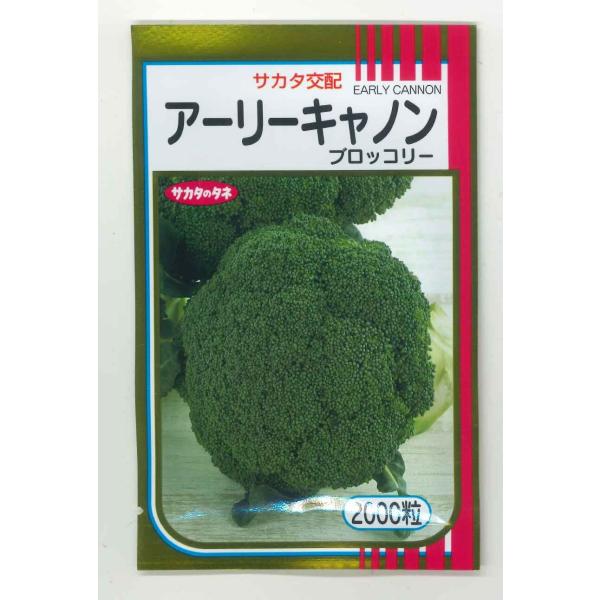 サカタのタネ（サカタノタネ） ブロッコリー アーリーキャノン 2000粒