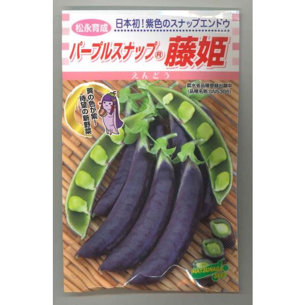 えんどう パープルスナップ 藤姫 20ml 松永種苗（株） : グリーン