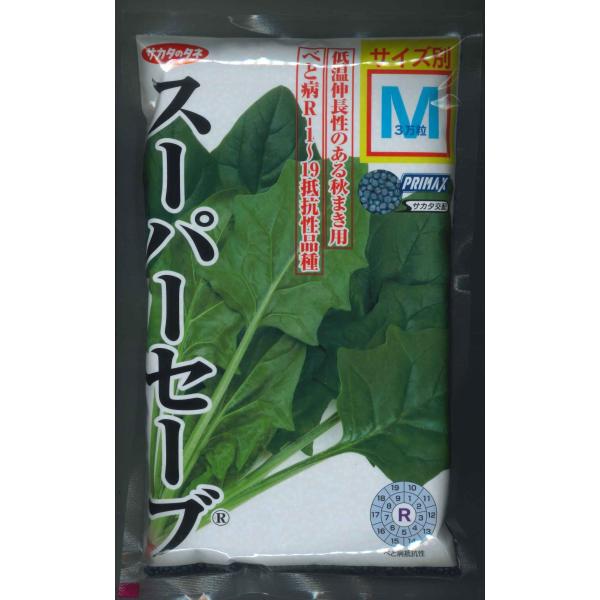 green-loft_2023070778