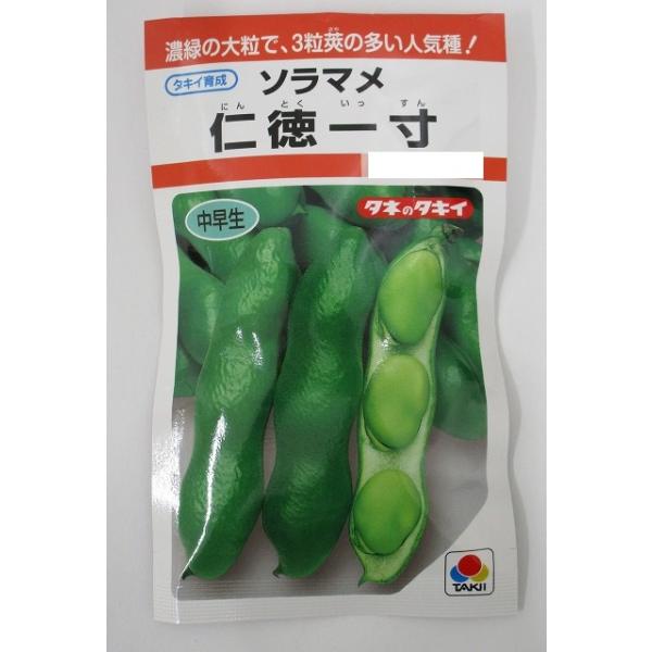 そら豆 仁徳一寸 小袋(約11粒) タキイ種苗（株）RF : グリーンロフト