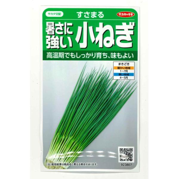 野菜種　ねぎ すさまる高温期でも十分な重さで生育、皮むき作業がしやすい2025年新品種！ 種・苗・農業資材品揃え豊富！農家さん御用達のお店　グリーンロフトネモト