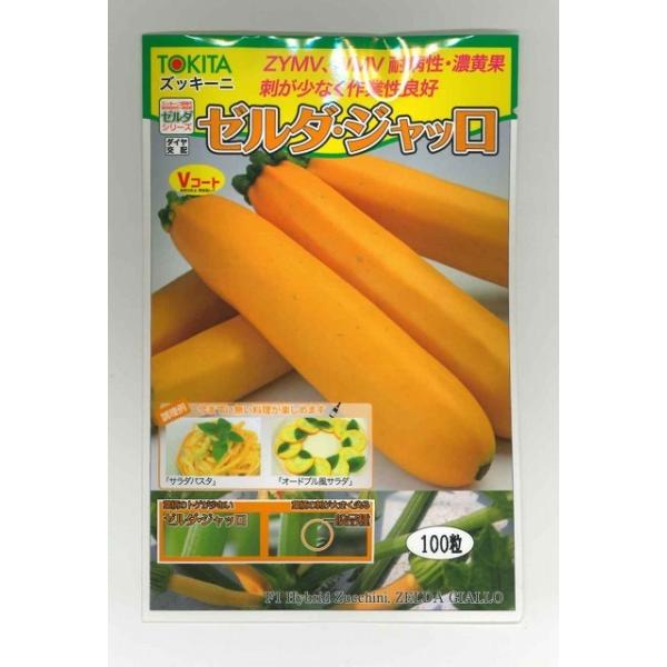 YbL[j [_EWb (100) gL^cij