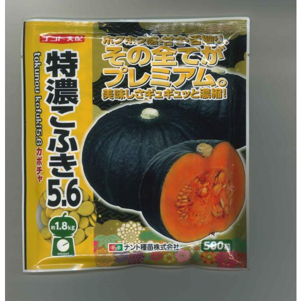 健康かぼちゃの強化種、大量５００粒＋プティ粗品＋全国匿名送料無料、同梱可能です☘ green-loft_20402
