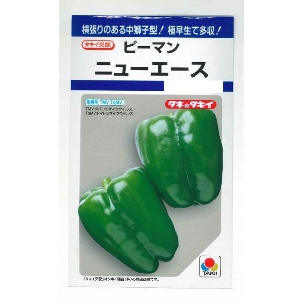 野菜種　ピーマン　ニューエース果重は40g程度で果皮にツヤがあり、品質良好。種・苗・農業資材品揃え豊富！農家さん御用達のお店　グリーンロフトネモト