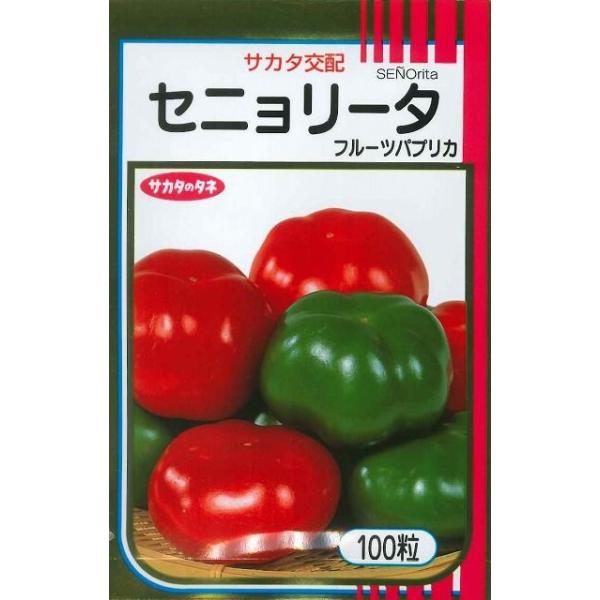 s[} t[cpvJ Zj[^ Ebh 100ijTJ^̃^l