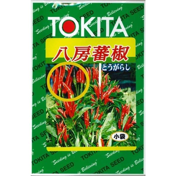 Ƃ炵 [Ƃ炵3ml gL^cij