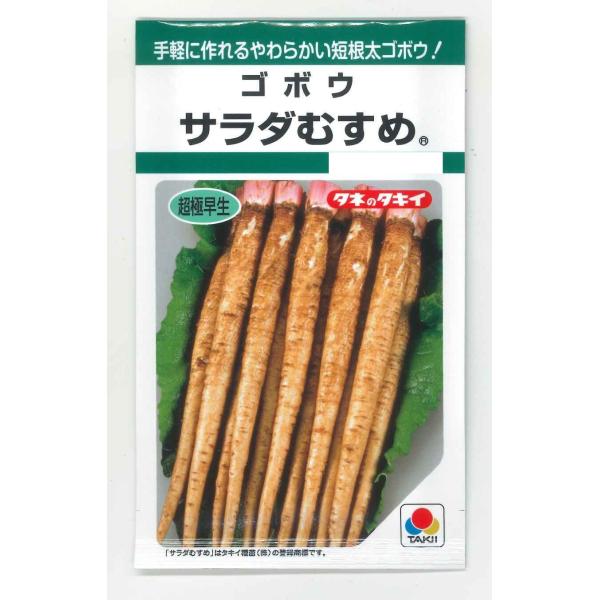 野菜種　牛蒡　サラダむすめ（てがるゴボウ)手軽に作れる短根の超極早生種！種・苗・農業資材品揃え豊富！農家さん御用達のお店　グリーンロフトネモト