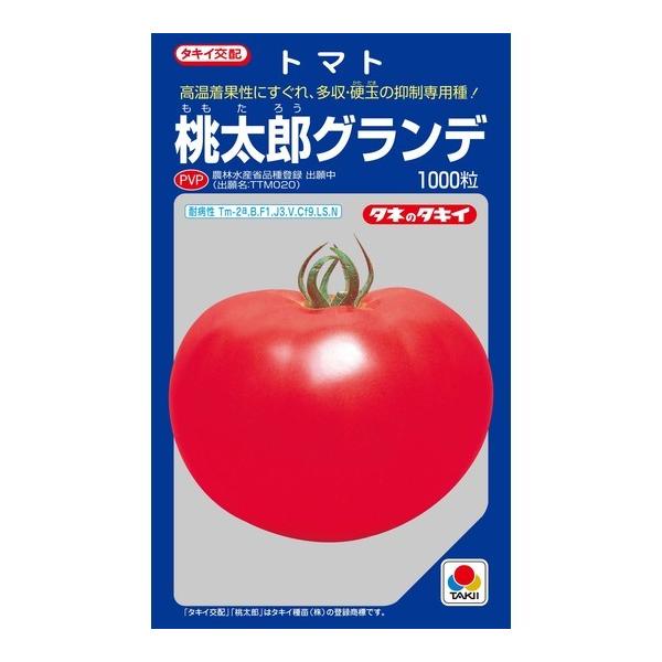 ʃg}g YOf1000 ^LCcij