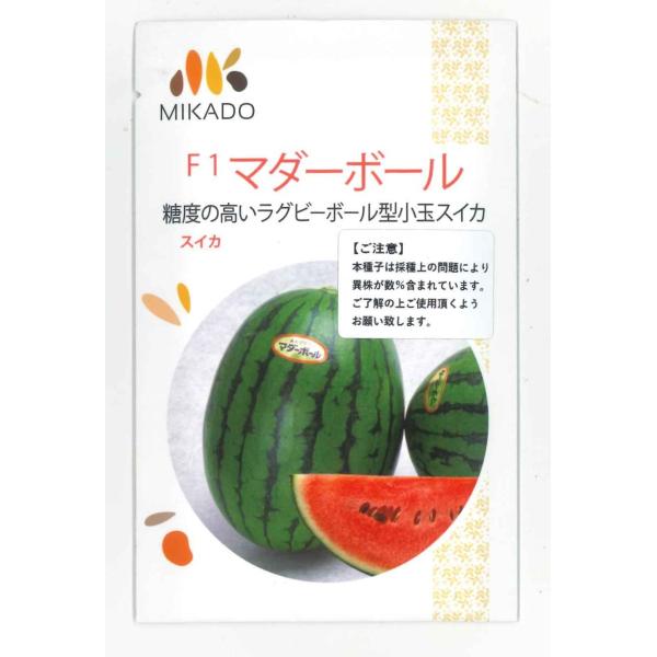 野菜種　スイカ　マダーボール2025年販売商品につきましてこちらの種子は採種上の問題により異株が数％含まれておりますご了解の上ご購入いただきますようお願いいたします。