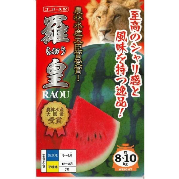 スイカ　羅皇（らおう）　収穫時までのツルもち抜群！種・苗・農業資材品揃え豊富！農家さん御用達のお店　グリーンロフトネモト