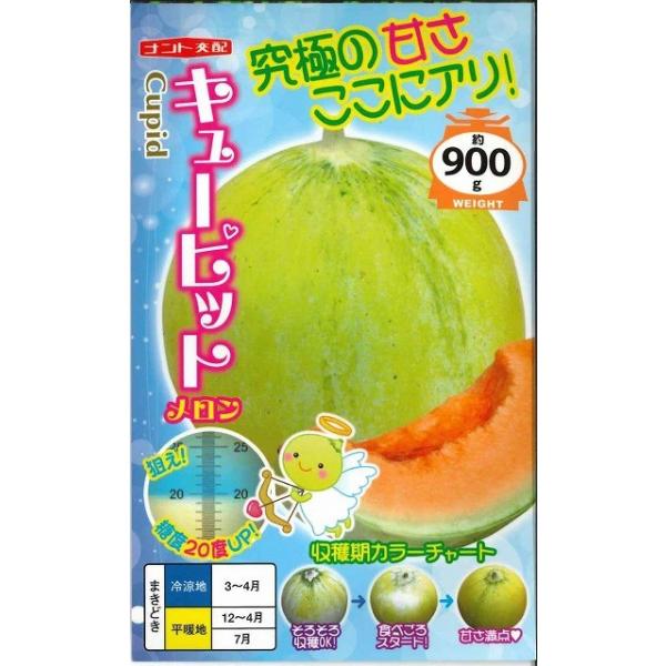 野菜種　メロン　キューピット種・苗・農業資材品揃え豊富！農家さん御用達のお店　グリーンロフトネモト