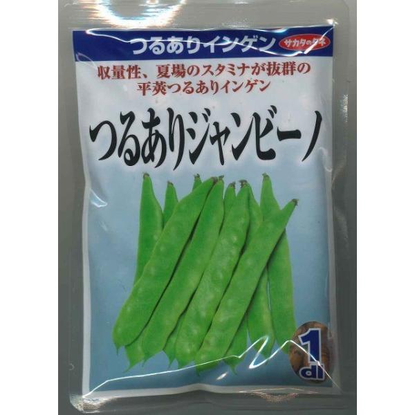 野菜種　いんげん つるあり　ジャンビーノ菜豆幅1.5ｃｍになるジャンボタイプです。種・苗・農業資材品揃え豊富！農家さん御用達のお店　グリーンロフトネモト