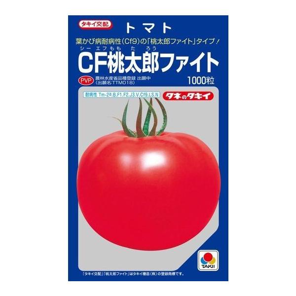 ʃg}g CFYt@Cg 1000^LCcij