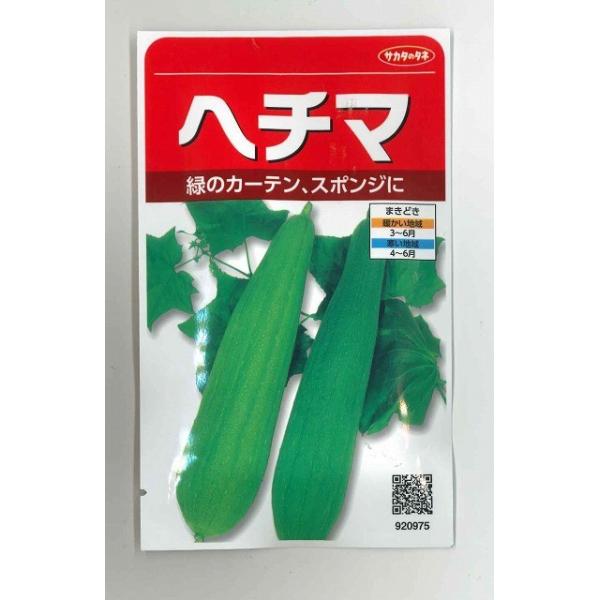 w`} 35 ijTJ^̃^l 250(002864)