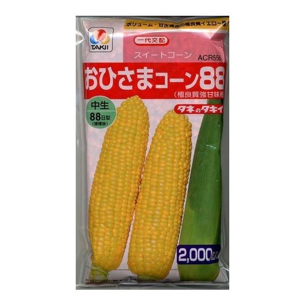 野菜種  とうもろこし　おひさまコーン88熟期は中生。中間地のマルチ栽培では、播種後約88日で収穫できます。種・苗・農業資材品揃え豊富！農家さん御用達のお店　グリーンロフトネモト
