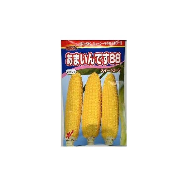 とうもろこし種　あまいんです88８８日タイプの中早生タイプです。種・苗・農業資材品揃え豊富！農家さん御用達のお店　グリーンロフトネモト