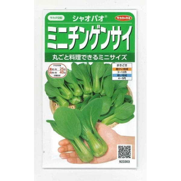 中国野菜 シャオパオ ミニチンゲンサイ 3ｍｌ 実咲 サカタ交配 27 グリーンロフトネモト 通販 Yahoo ショッピング