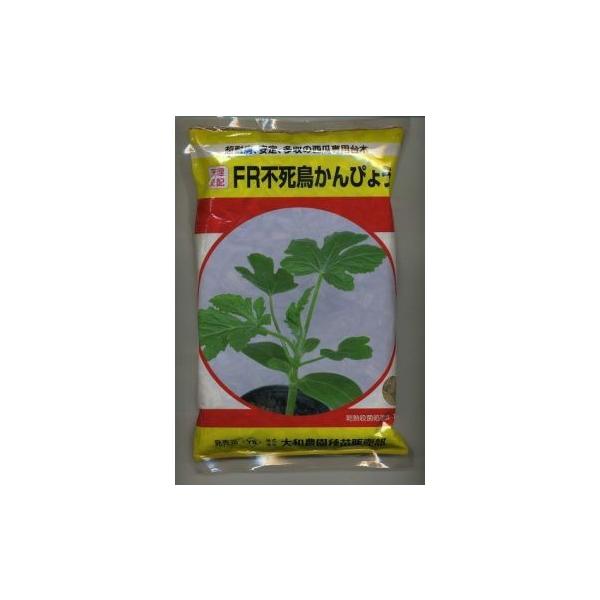 (XCJp) eqs҂傤 2000 ija_