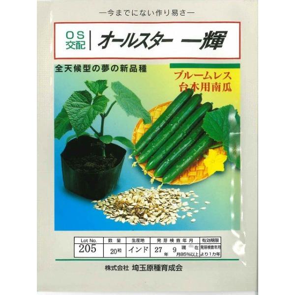 (イp) I[X^[P 20 ijʌ琬