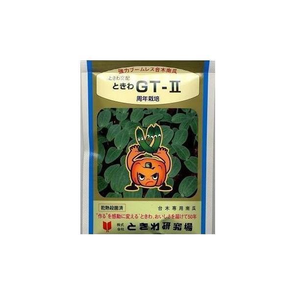 (イp) Ƃfs2 350 ijƂ팤