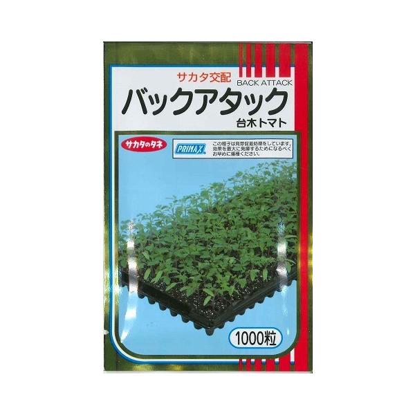 (g}gp) obNA^bN 1000 ijTJ^̃^l