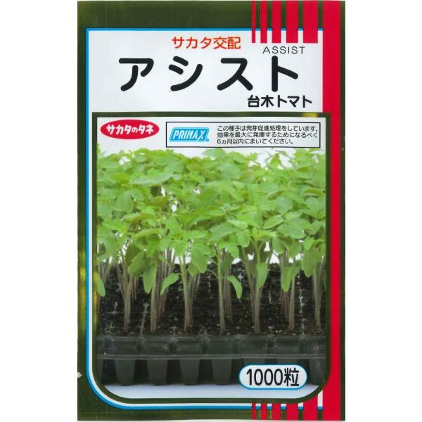 (g}gp) AVXg 1000 ijTJ^̃^l