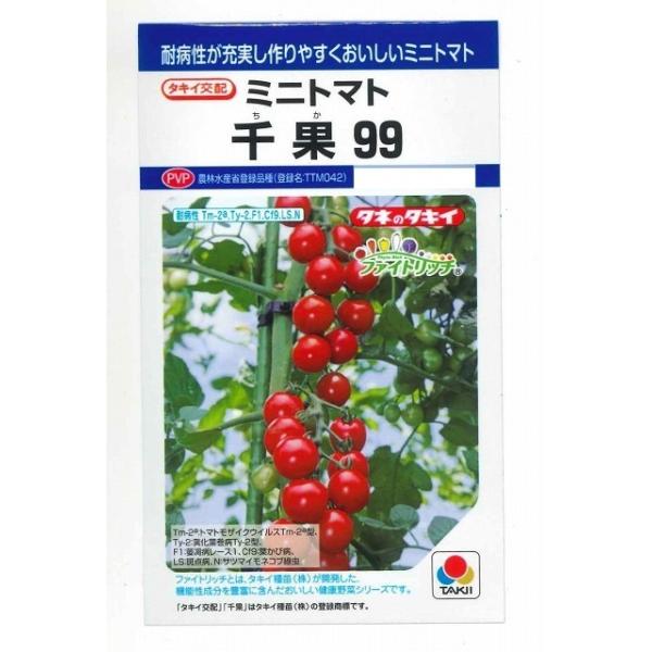 トマト① トマト ミニトマト 千果99 12粒 タキイ種苗 （株）DF : グリーンロフト