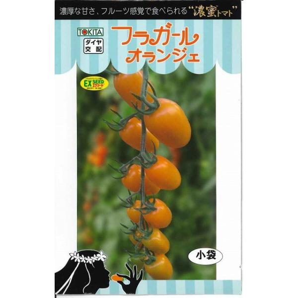 ~jg}g tK[IWF 8 gL^cij