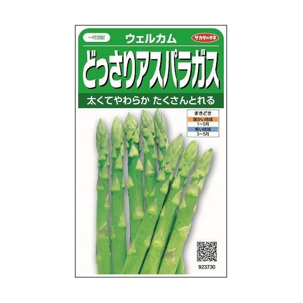 AXpKX EFJ 20 ijTJ^̃^l 450(003040)