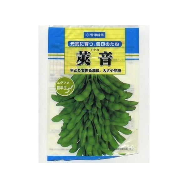 枝豆 川北黒大豆枝豆・丹波黒煮豆のセット | 兵庫県丹波篠山市