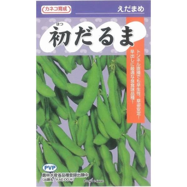 野菜種　枝豆　初だるま早出しに最適な良食味品種！種・苗・農業資材品揃え豊富！農家さん御用達のお店　グリーンロフトネモト