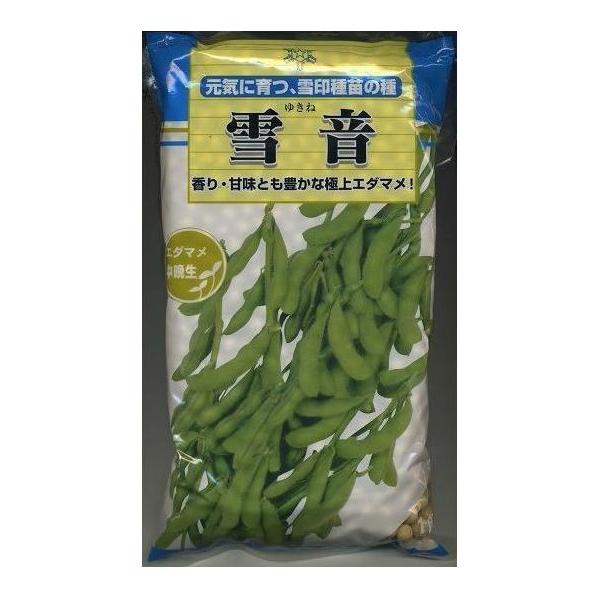雪菜 鱼泉牌美味雪菜(80gx3) | T&T Supermarket