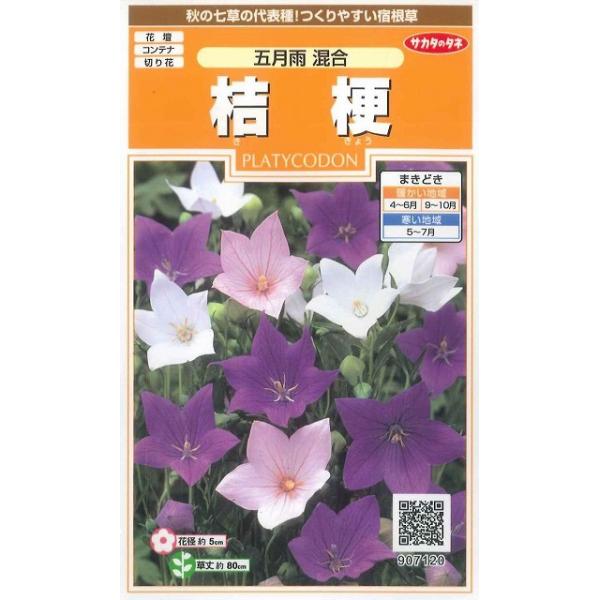桔梗 五月雨混合花の種　桔梗 五月雨混合種・苗・農業資材品揃え豊富！農家さん御用達のお店　グリーンロフトネモト