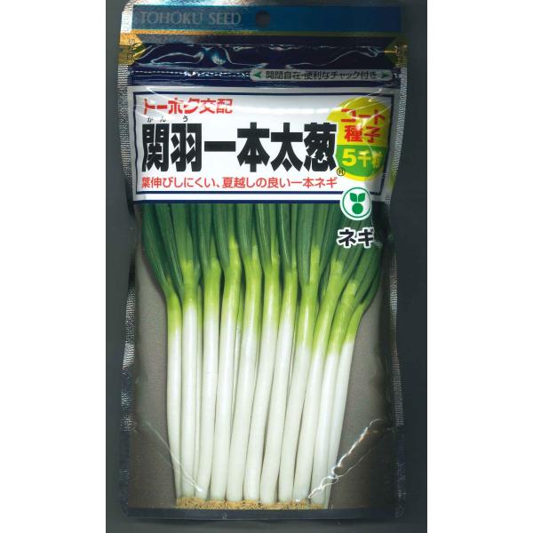 ねぎ 関羽一本太 コート種子 5千粒 トーホク : グリーンロフト ねぎ 関羽一本太 コート種子 5千粒 トーホク : グリーンロフト