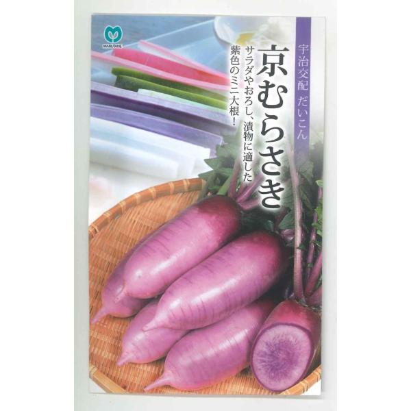 大根　京むらさき　 丸種（株）特長のある紫色のミニ大根！見てよく、食べてよしの美味しい品種。種・苗・農業資材品揃え豊富！農家さん御用達のお店　グリーンロフトネモト