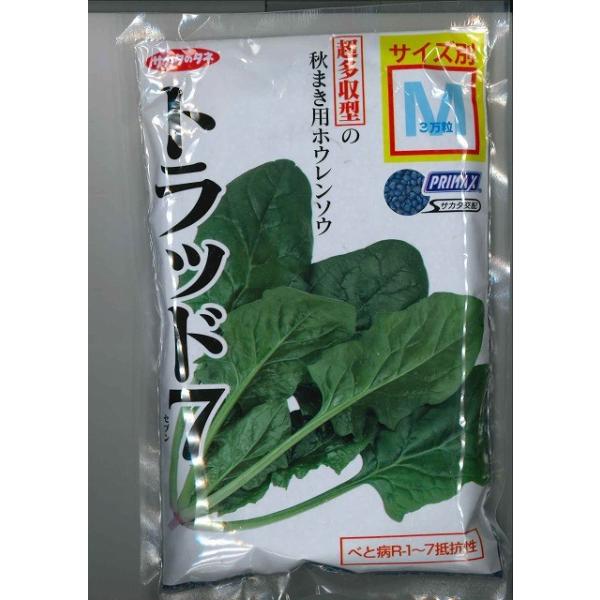 ق񂻂 gbh7 3(qTCY:M) ijTJ^̃^l