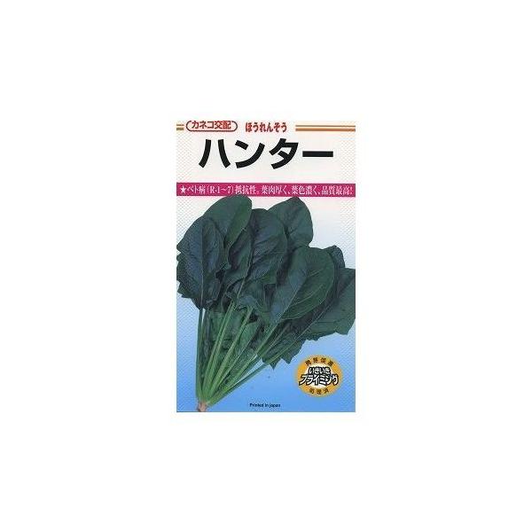 ق񂻂 n^[ 32ml JlRcij