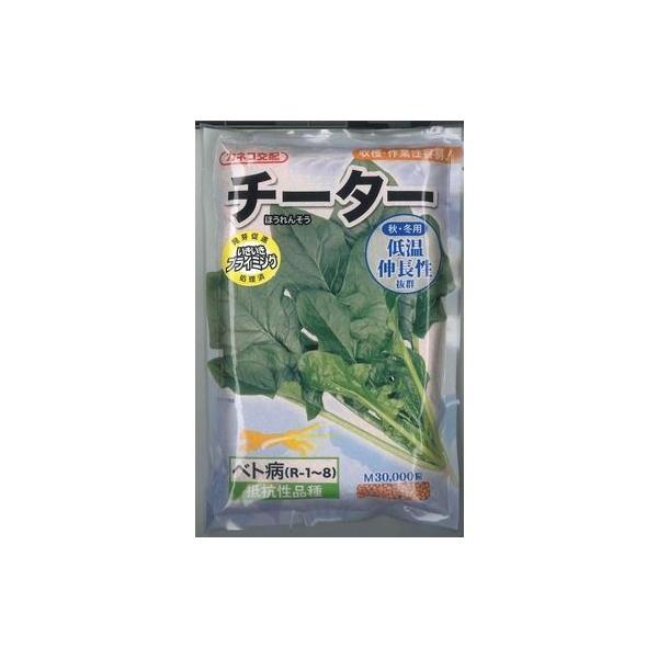 ق񂻂 `[^[ 3(qTCY:M) JlRcij