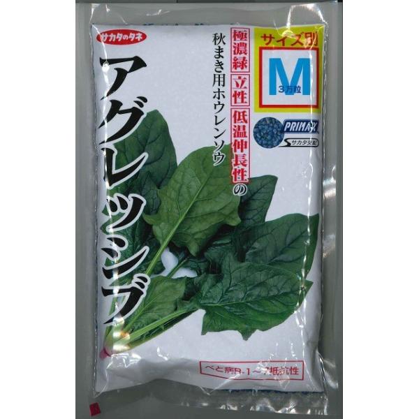 ق񂻂 AObVu 3(qTCY:M) ijTJ^̃^l