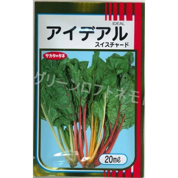 ACfA(XCX`[h) 20ml ijTJ^̃^l