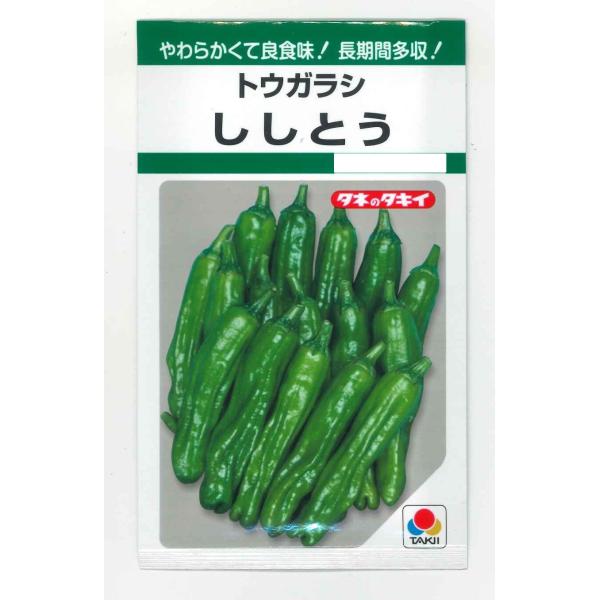 ししとう種　ししとう　タキイ種苗種・苗・農業資材品揃え豊富！農家さん御用達のお店　グリーンロフトネモト