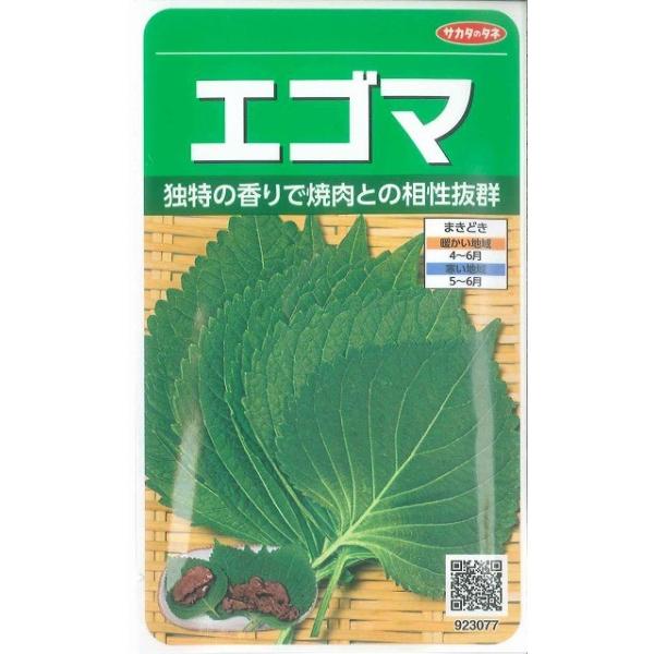野菜種　エゴマ一般的に葉は利用しますが、種実も利用することができます。種・苗・農業資材品揃え豊富！農家さん御用達のお店　グリーンロフトネモト