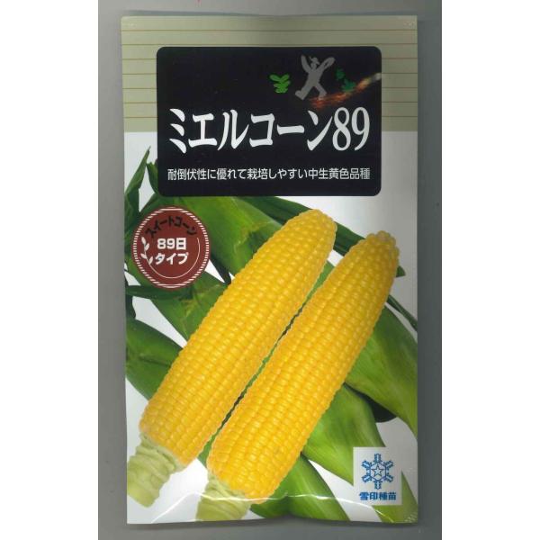 野菜種  とうもろこし　ミエルコーン89耐倒伏性に優れて栽培しやすい高温期収穫向けの中生種種・苗・農業資材品揃え豊富！農家さん御用達のお店　グリーンロフトネモト