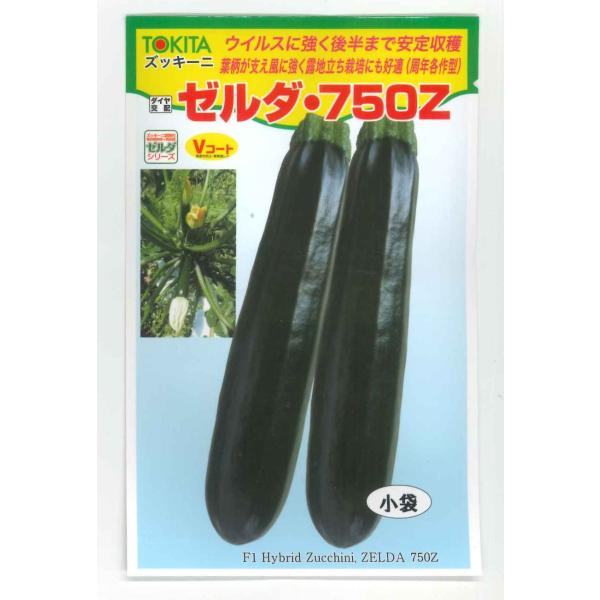 野菜種　ズッキーニ　ゼルダ・750Z（TSX-750Z）低温・短日下でも雄花・雌花バランス良好！種・苗・農業資材品揃え豊富！農家さん御用達のお店　グリーンロフトネモト