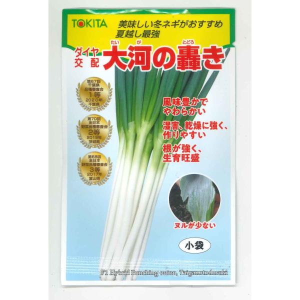 ねぎ 大河の轟き 5ml 裸種子(約675粒) トキタ種苗 : グリーンロフト