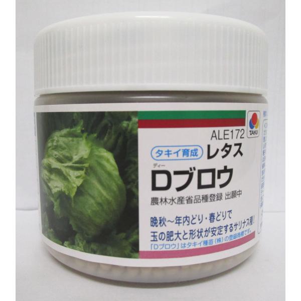 野菜種　レタス　 Dブロウ玉の肥大と形状が安定！晩秋〜年内どり・春どり可能な玉レタス種・苗・農業資材品揃え豊富！農家さん御用達のお店　グリーンロフトネモト