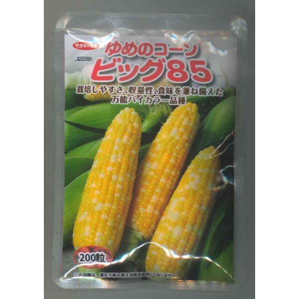 とうもろこし種　ゆめのコーンビッグ85　栽培しやすさ、収量性、食味を兼ね備えた万能バイカラー品種種・苗・農業資材品揃え豊富！農家さん御用達のお店　グリーンロフトネモト