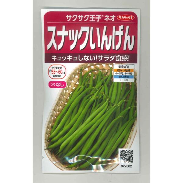 野菜種　つるなしいんげん　 サクサク王子ネオスジが出にくく、歯ざわりのよいサラダ食感インゲン種・苗・農業資材品揃え豊富！農家さん御用達のお店　グリーンロフトネモト