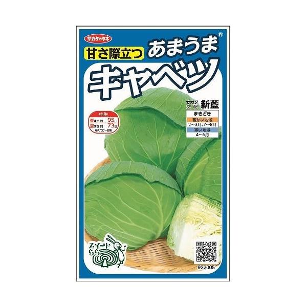 Lxc V 65 ijTJ^̃^l 450(002914)